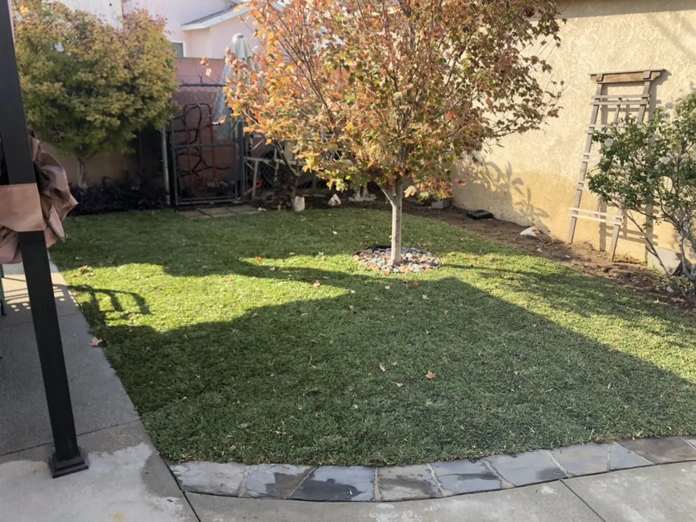 Professional landscaping services in Long Beach, CA - Ramirez Landscaping