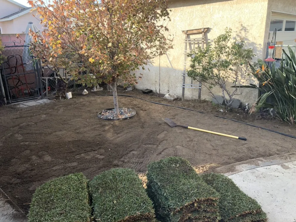 Affordable yard cleanup service in Long Beach, CA by Ramirez Landscaping