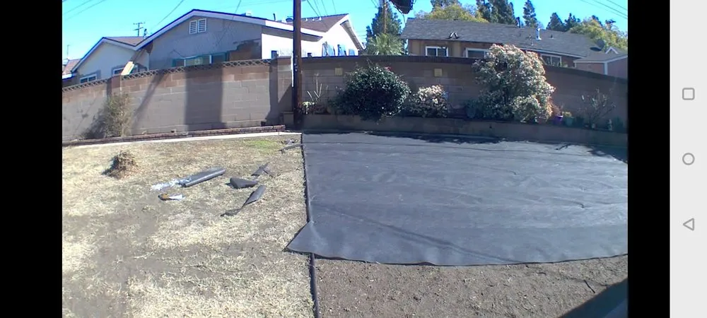 Local yard cleanup service experts serving Long Beach, CA - Ramirez Landscaping