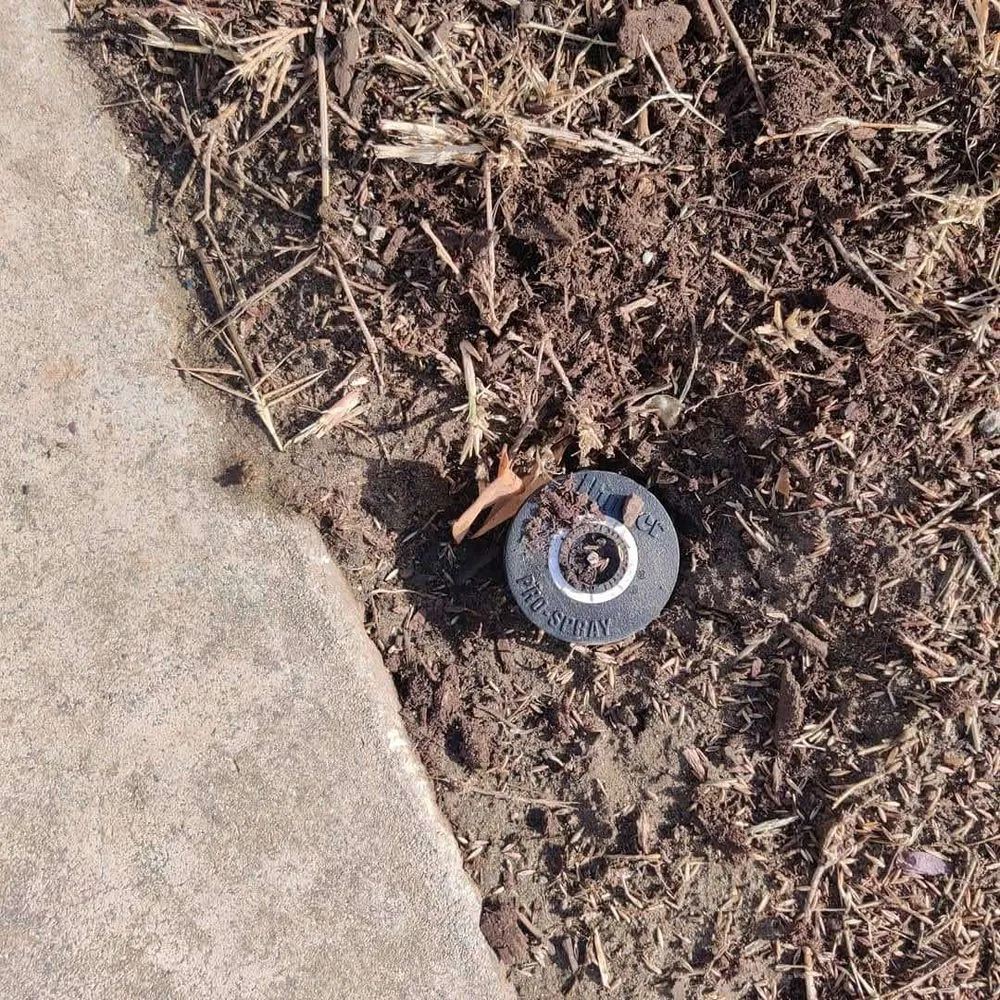 Top-rated garden landscaping experts serving Long Beach, CA - Ramirez Landscaping