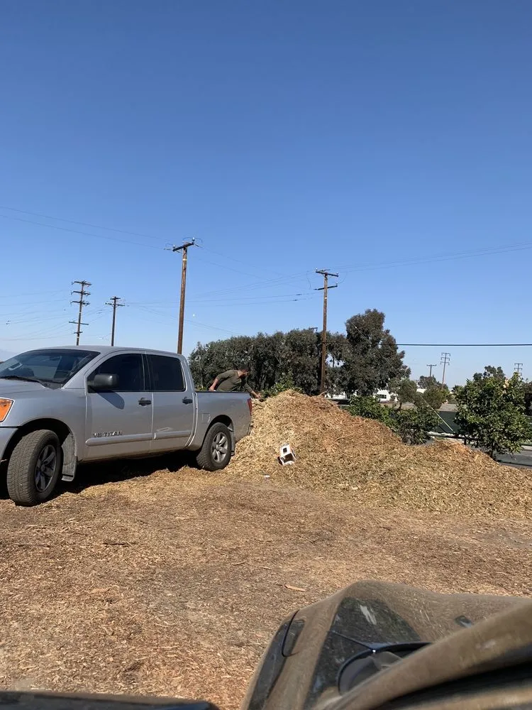 Expert lawn care service in Long Beach, CA - Ramirez Landscaping