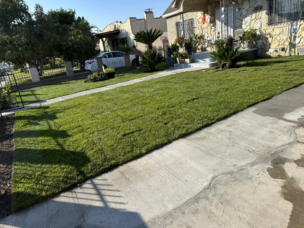 Top-rated yard maintenance for residential properties in Los Angeles, CA by Ramirez Landscaping