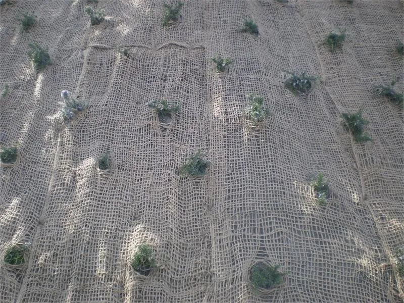 Professional yard cleanup service with custom design across Los Angeles, CA - Ramirez Landscaping