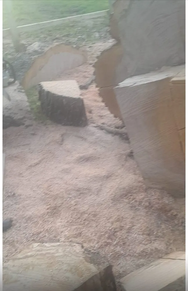 Top-rated yard maintenance near you across Memphis, TN - Ramirez Landscaping Maintenance