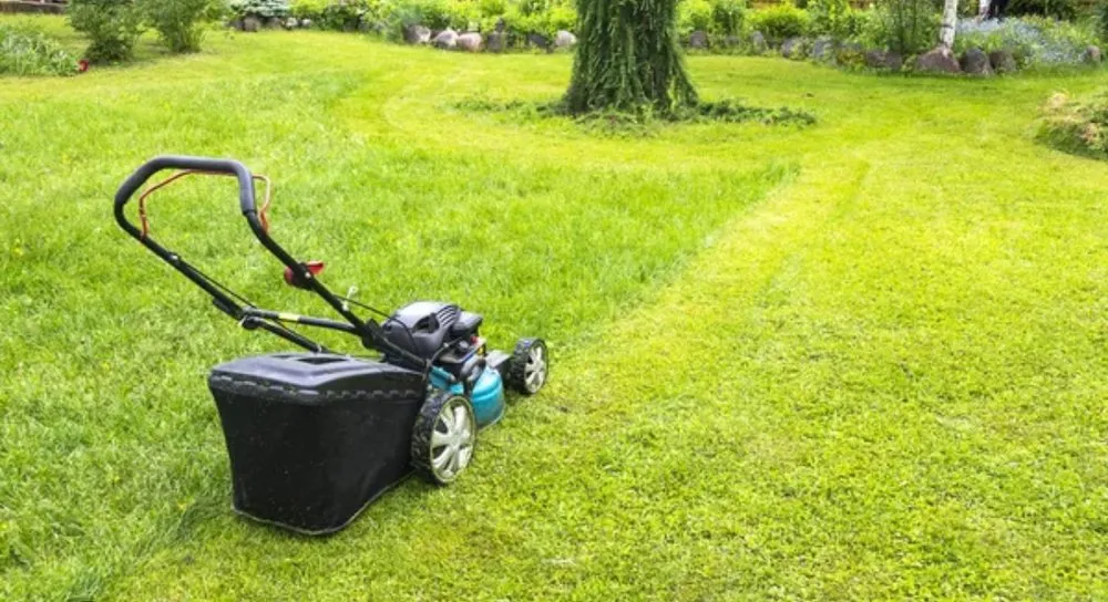 Trusted yard cleanup service in Memphis, TN - Ramirez Landscaping Maintenance