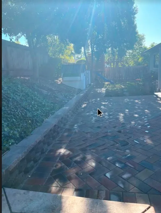 Top-rated yard cleanup service experts serving Oakland, CA - Ramirez Landscaping