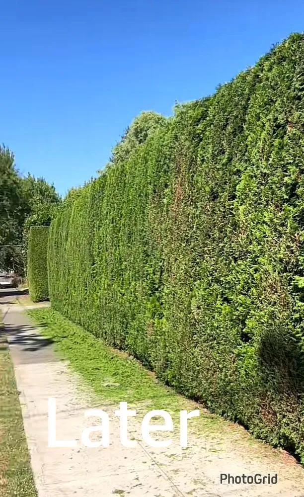 Local outdoor landscaping in Portland, OR - Ramirez Landscaping