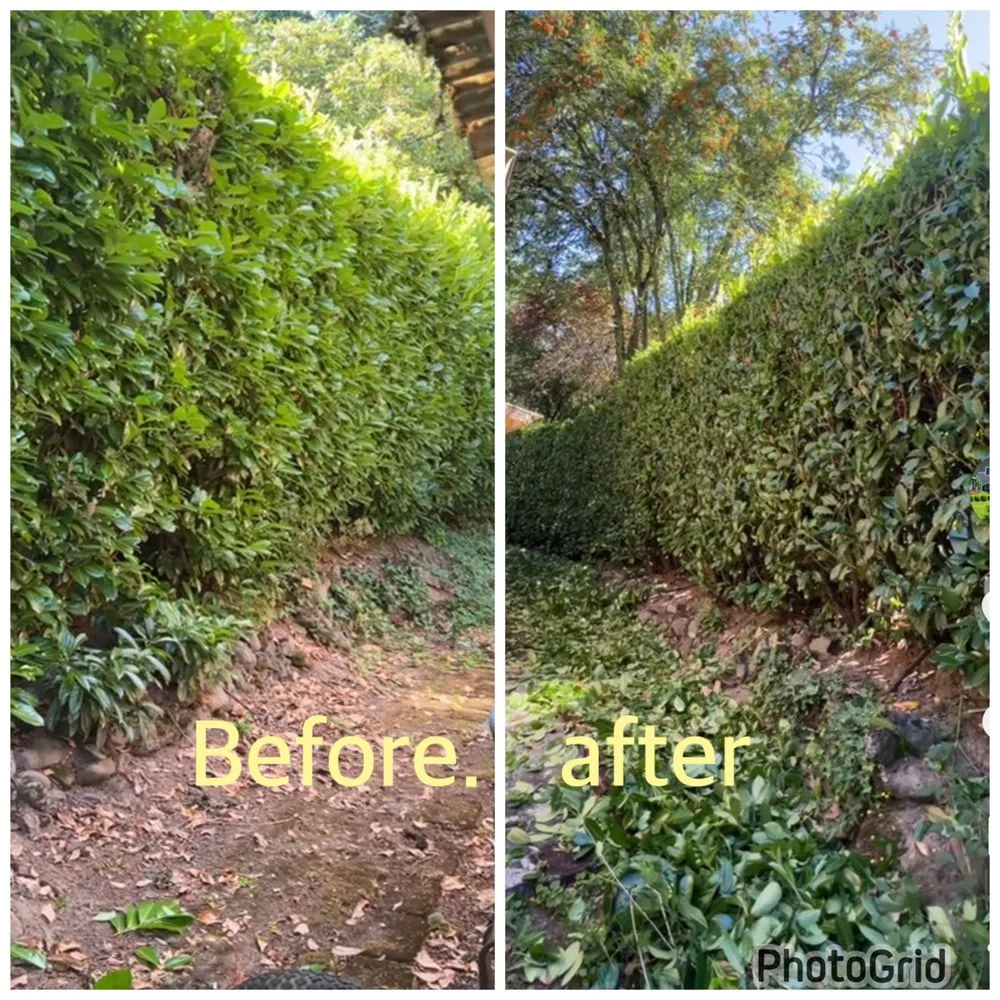 Professional landscaping services in Portland, OR - Ramirez Landscaping