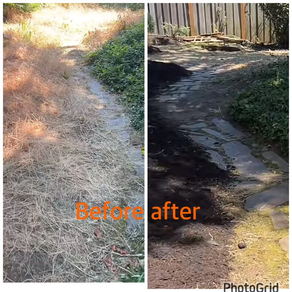 Affordable residential landscaping near you in Portland, OR by Ramirez Landscaping