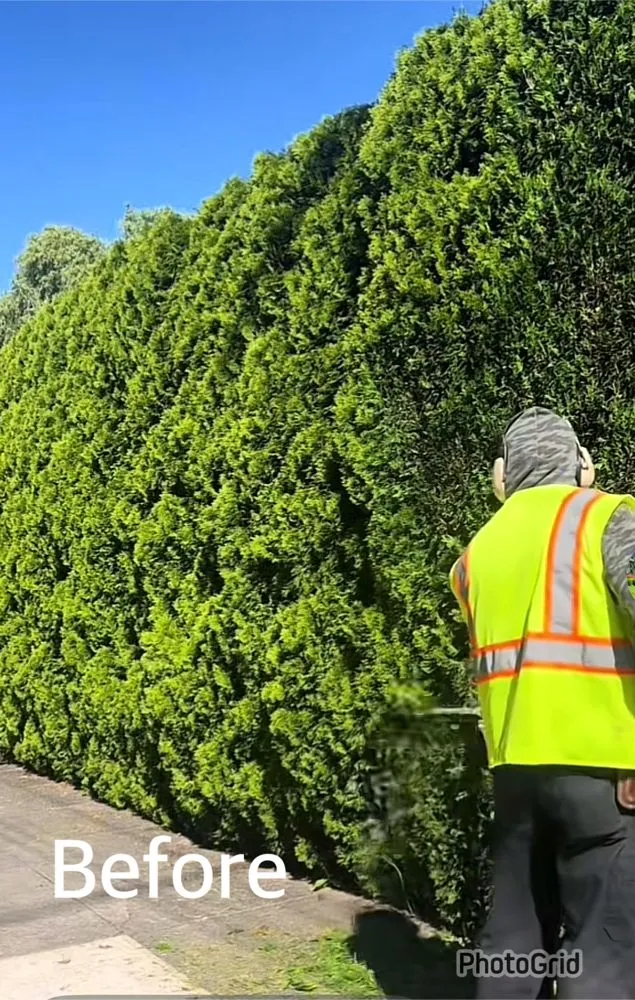 Affordable lawn mowing service experts serving Portland, OR - Ramirez Landscaping