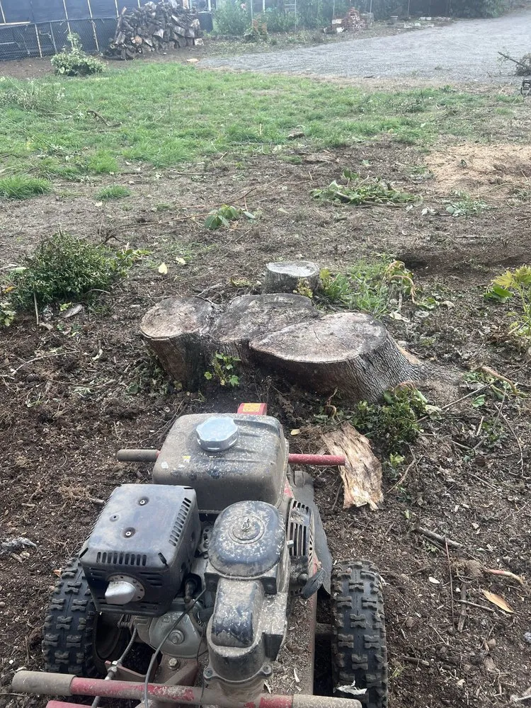 Professional outdoor landscaping experts serving Portland, OR - Ramirez Landscaping