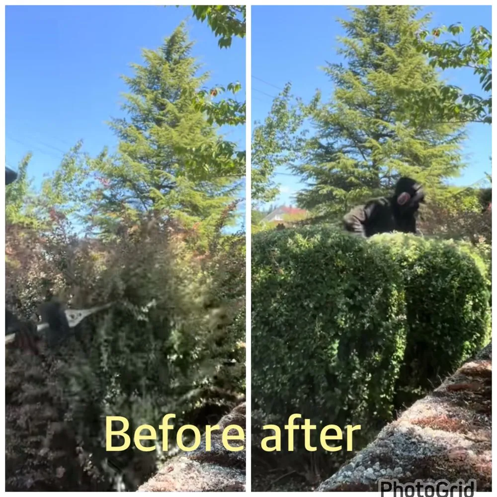 Expert garden landscaping for year-round maintenance in Portland, OR by Ramirez Landscaping