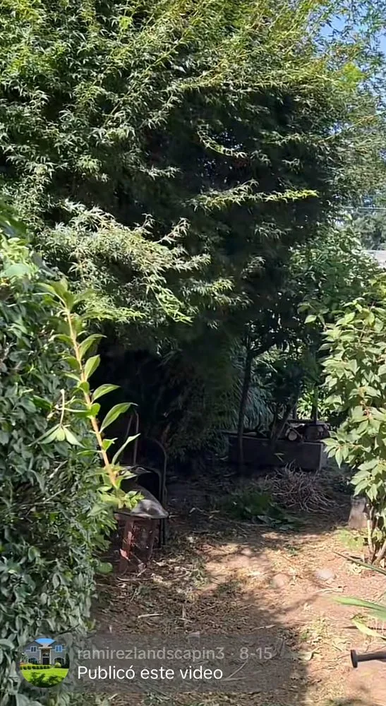 Local landscape design in Portland, OR by Ramirez Landscaping