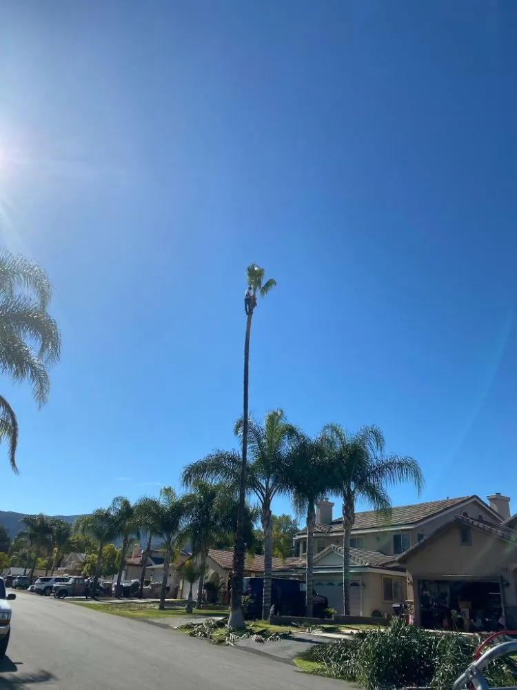 Top-rated outdoor landscaping experts serving San Bernardino, CA - RAMIREZ LANDSCAPING