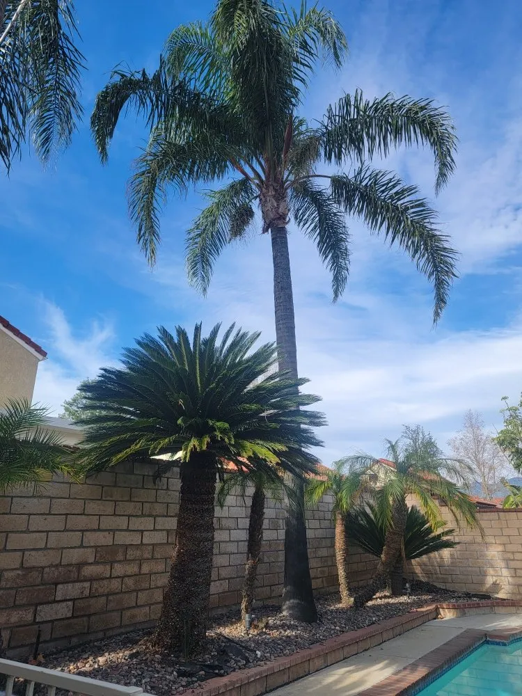 Professional residential landscaping experts serving San Bernardino, CA - RAMIREZ LANDSCAPING