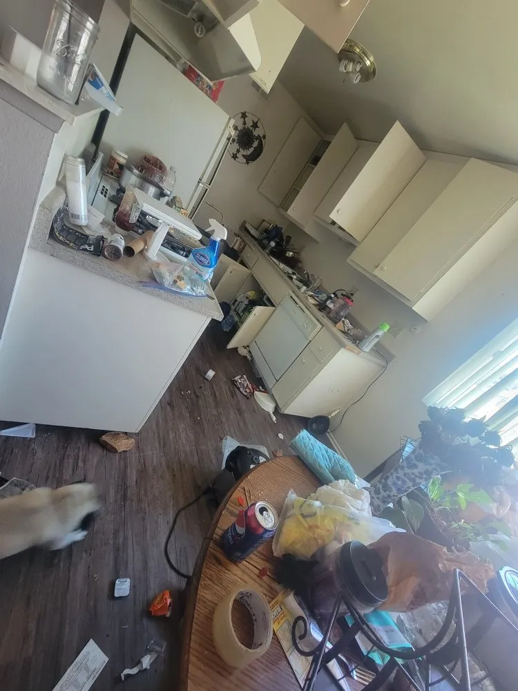 Local landscape installation in San Bernardino, CA by RAMIREZ LANDSCAPING