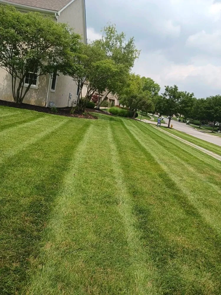 Expert landscape design for beautiful yards in Sioux Falls, SD by Ramirez landscaping