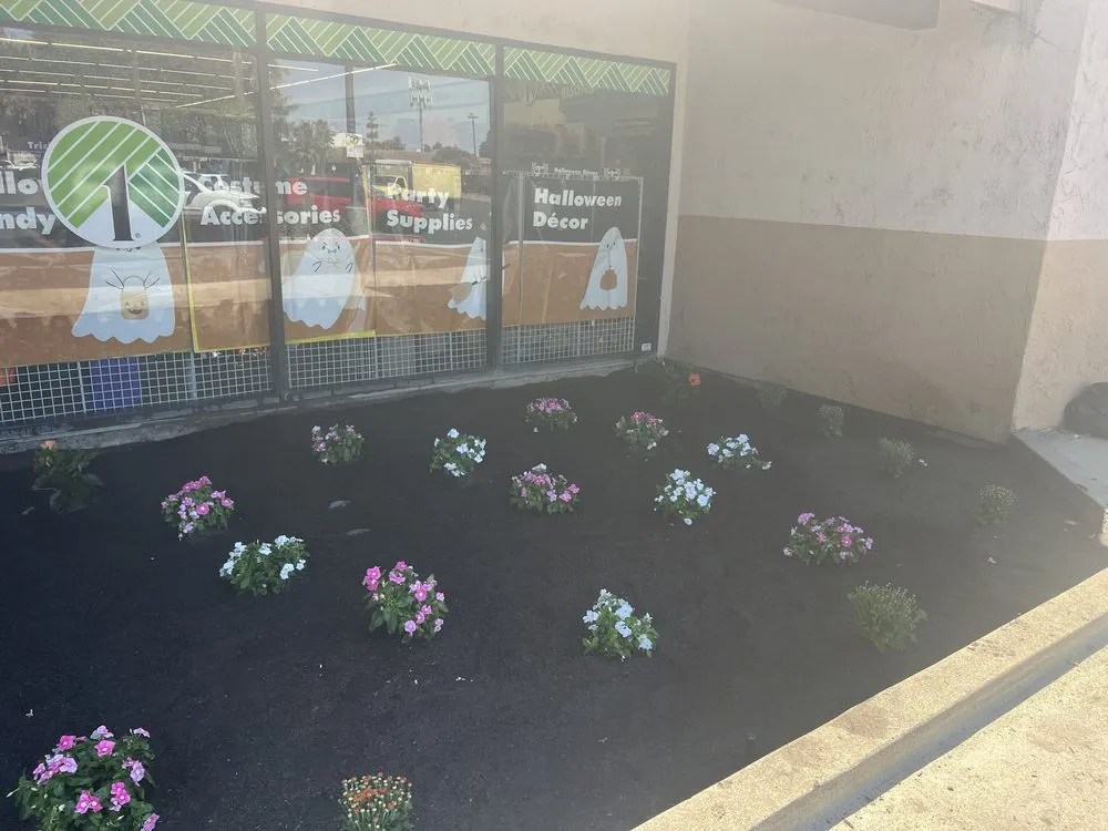 Top-rated residential landscaping for homes across Stockton, CA - Ramirez Landscaping