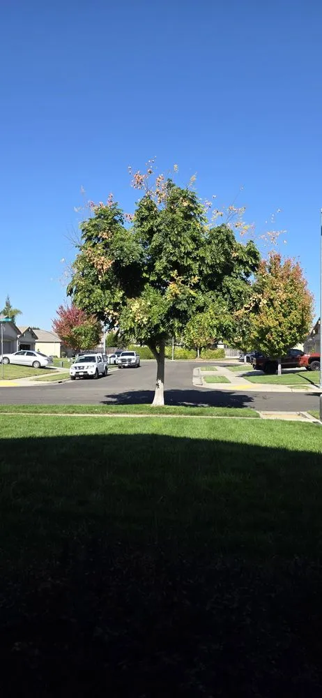 Reliable outdoor landscaping experts serving Stockton, CA - Ramirez Landscaping