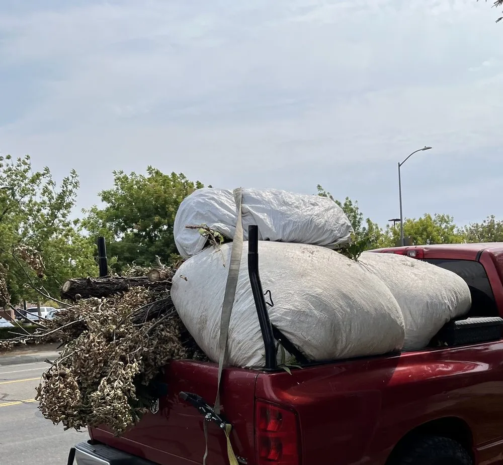 Custom yard cleanup service in Vacaville, CA by Ramirez Landscaping