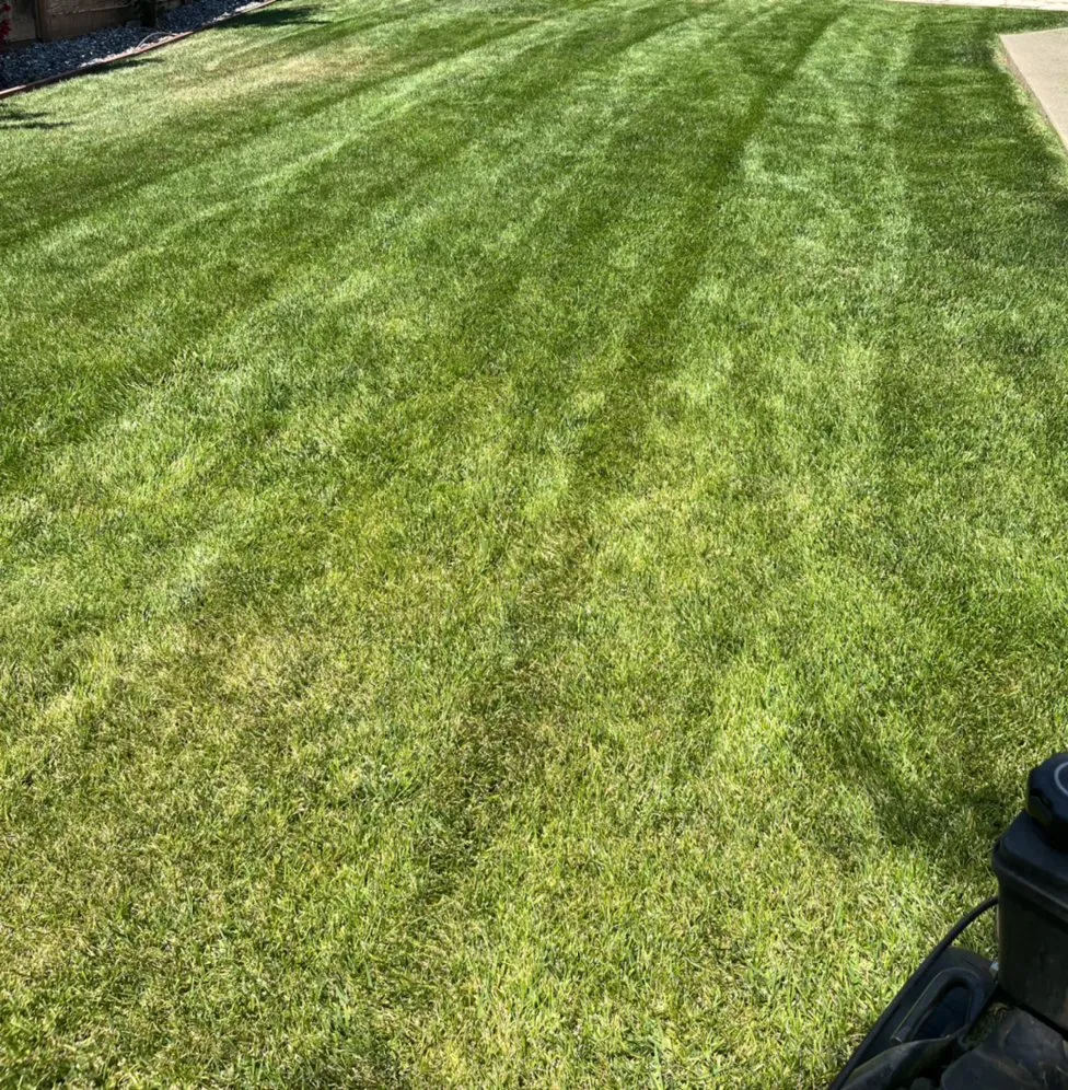 Expert yard maintenance experts serving Vacaville, CA - Ramirez Landscaping