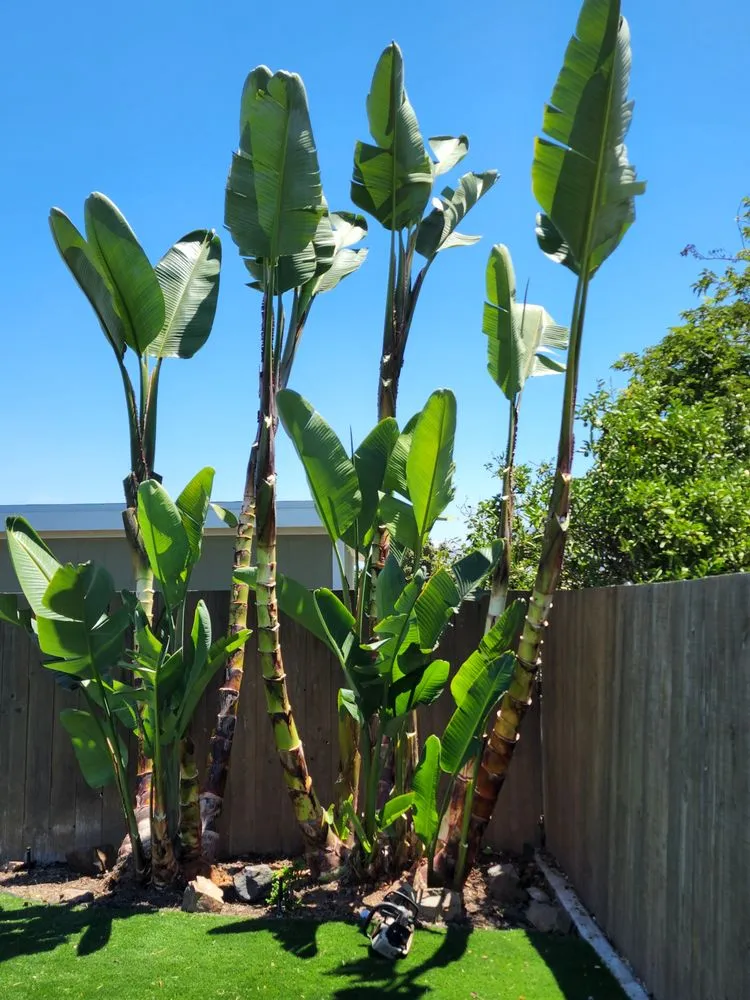 Expert outdoor landscaping in Vista, CA by Ramirez Landscaping