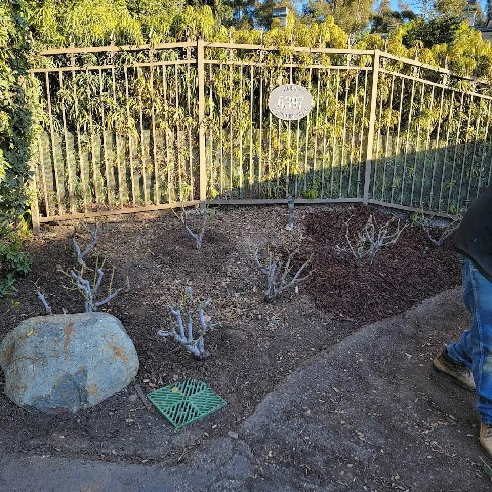 Local yard maintenance near you across Vista, CA - Ramirez Landscaping