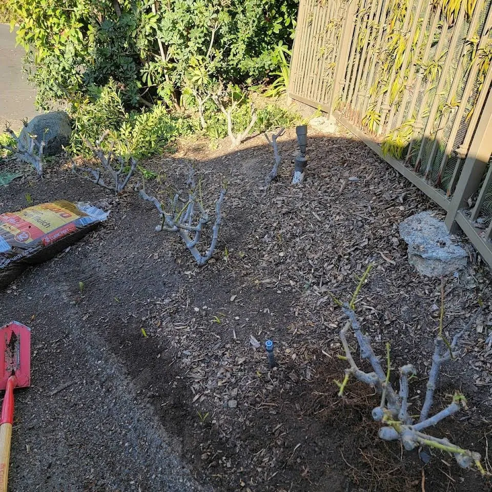 Expert landscape installation experts serving Vista, CA - Ramirez Landscaping