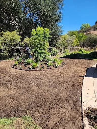Local yard cleanup service in Vista, CA - Ramirez Landscaping