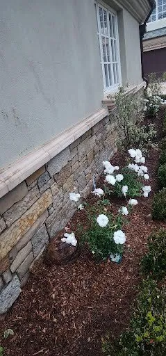 Expert landscape design for year-round maintenance in Vista, CA by Ramirez Landscaping