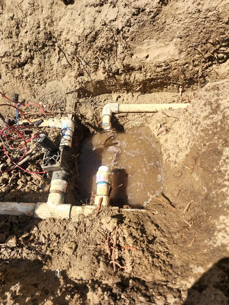 Affordable residential landscaping in Vista, CA - Ramirez Landscaping