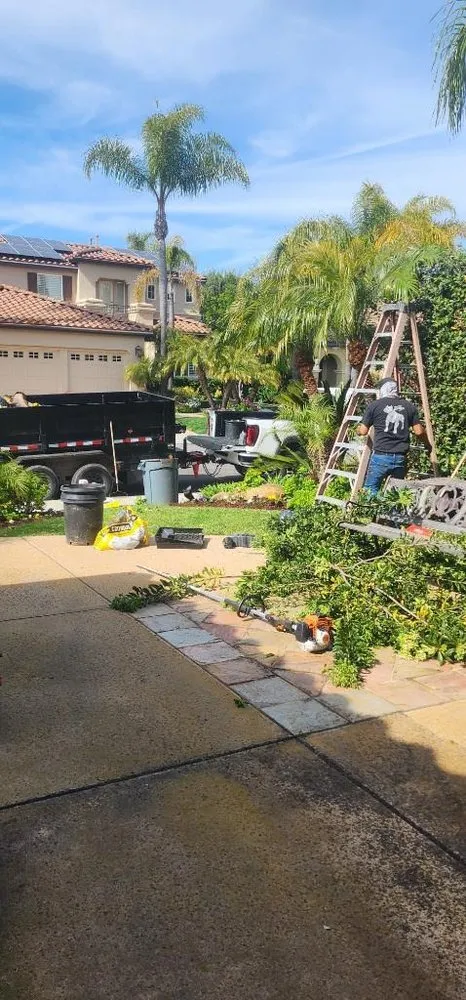Top-rated yard cleanup service for outdoor upgrades across Vista, CA - Ramirez Landscaping
