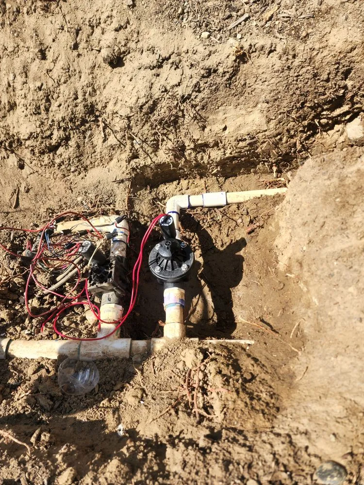 Reliable landscape design in Vista, CA by Ramirez Landscaping