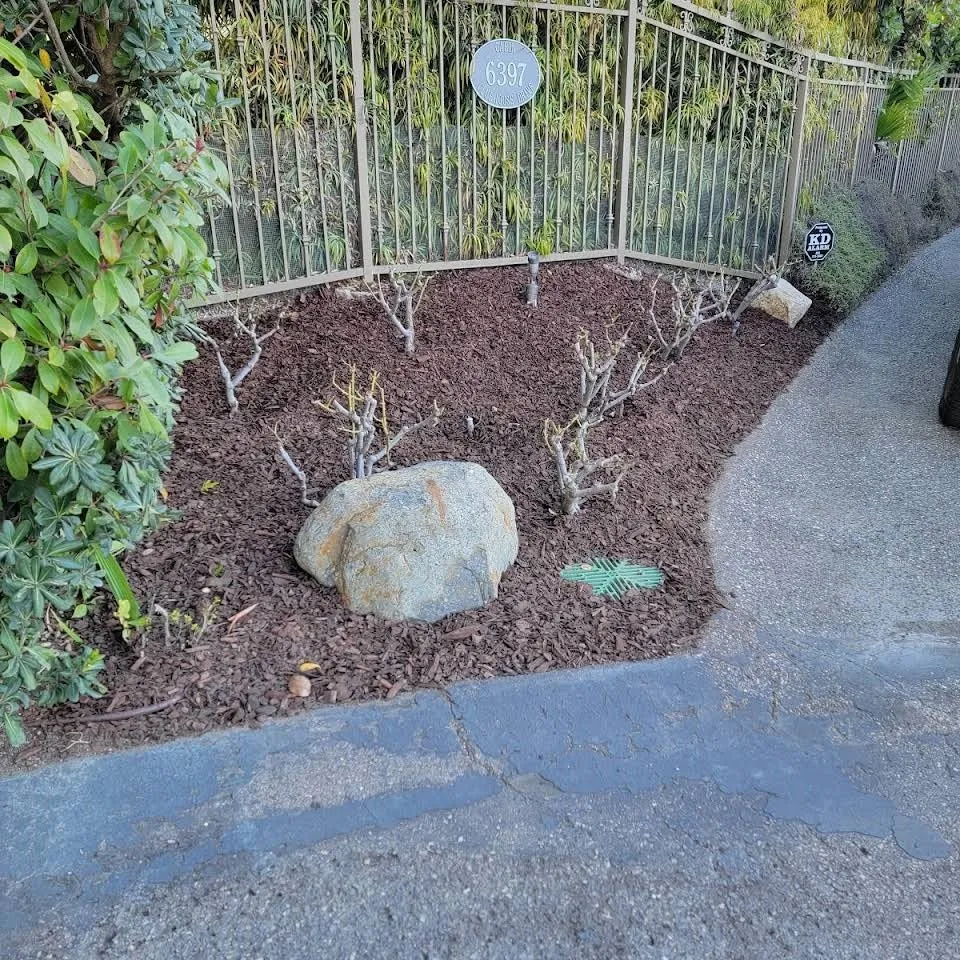Expert outdoor landscaping with custom design across Vista, CA - Ramirez Landscaping