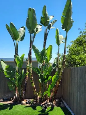 Ramirez Landscaping Logo