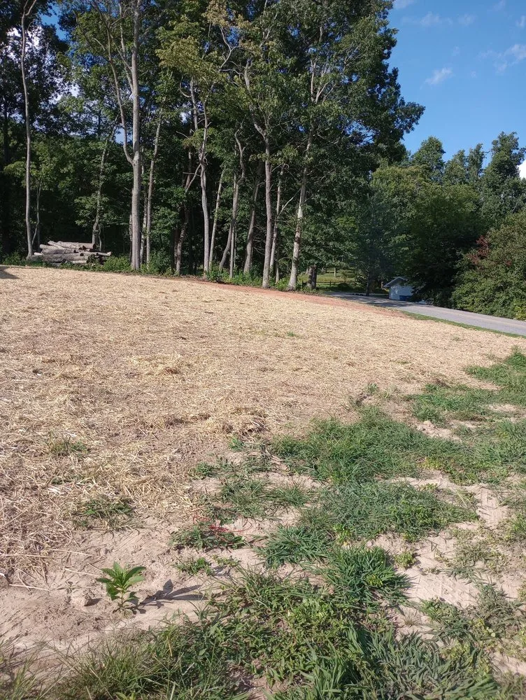 Expert residential landscaping for year-round maintenance across Weaverville, NC - Ramirez Landscaping