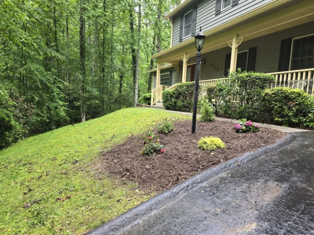 Local yard cleanup service for beautiful yards across Weaverville, NC - Ramirez Landscaping