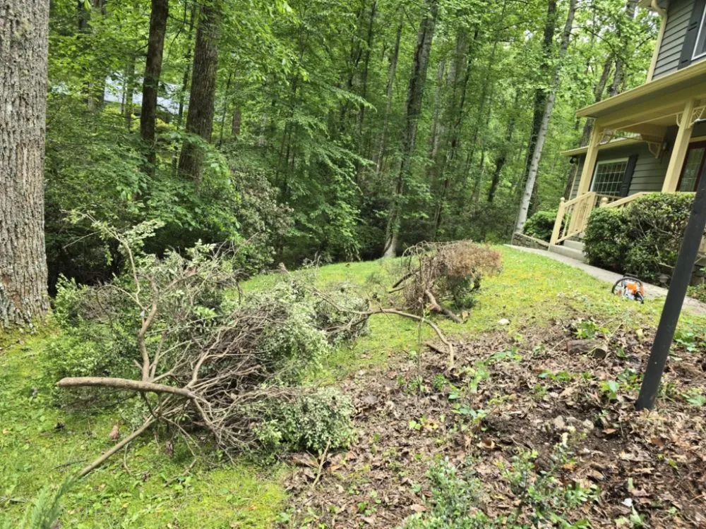 Reliable lawn care service in Weaverville, NC - Ramirez Landscaping