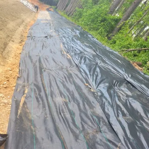 Affordable residential landscaping for homes across Youngsville, NC - Ramirez Landscaping