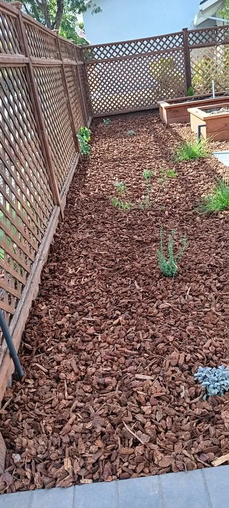 Reliable lawn mowing service in San José, CA - Ramirez Lanscaping