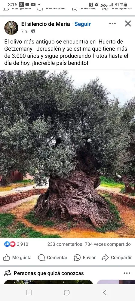Expert landscape installation in San José, CA - Ramirez Lanscaping