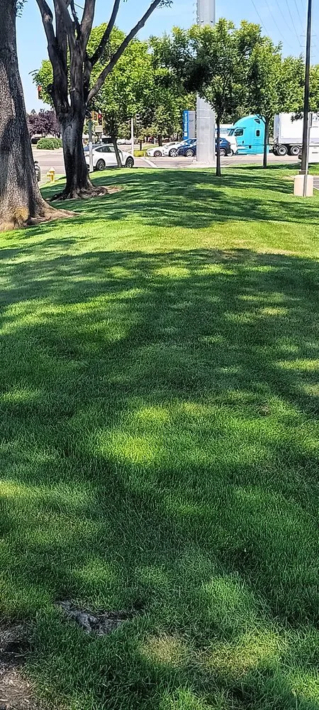 Reliable outdoor landscaping experts serving San José, CA - Ramirez Lanscaping