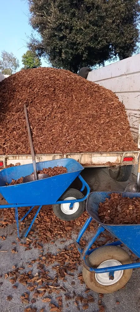 Local lawn mowing service in San José, CA - Ramirez Lanscaping