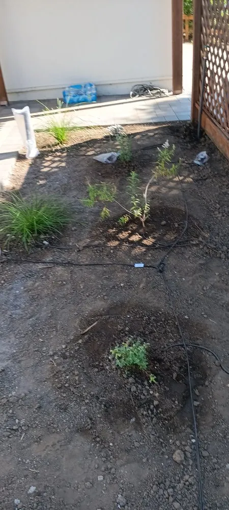 Trusted garden landscaping in San José, CA by Ramirez Lanscaping