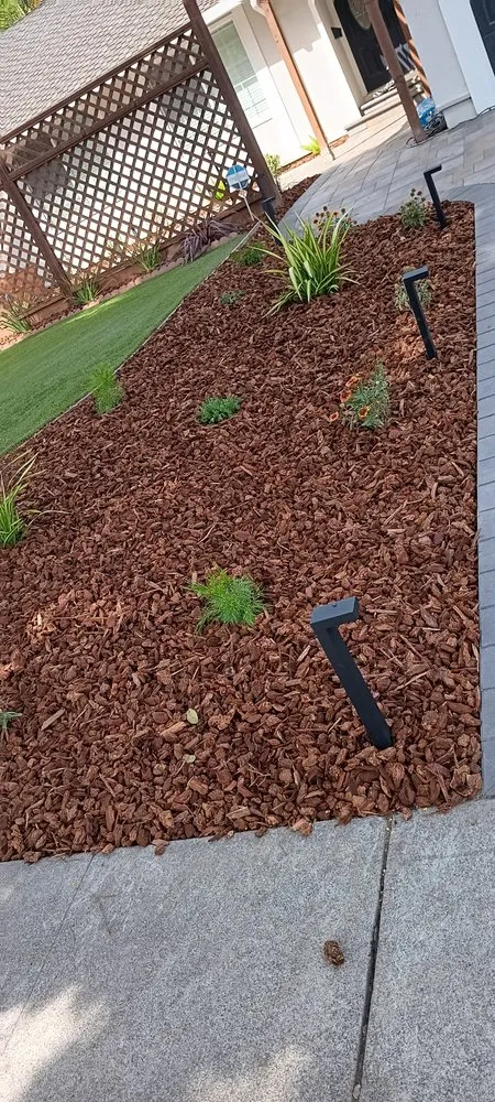 Top-rated lawn care service in San José, CA - Ramirez Lanscaping