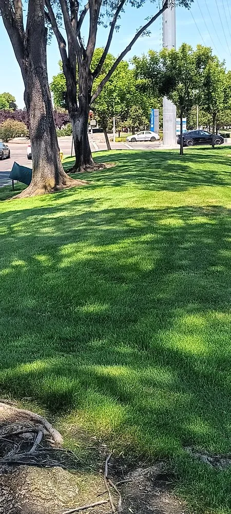 Local landscape design experts serving San José, CA - Ramirez Lanscaping