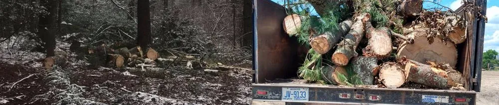 Top-rated landscape design in Hendersonville, NC - Ramirez Lawn & Landscaping