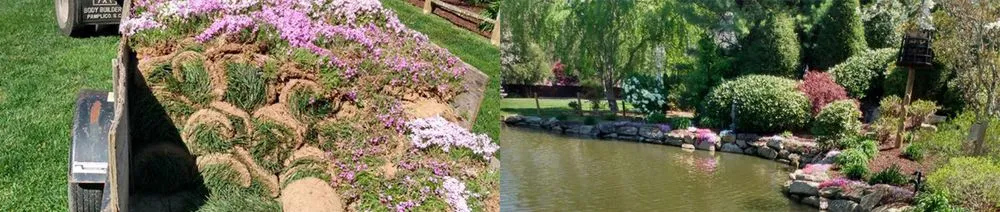 Top-rated lawn care service in Hendersonville, NC by Ramirez Lawn & Landscaping