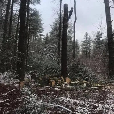 Expert garden landscaping in Hendersonville, NC by Ramirez Lawn & Landscaping