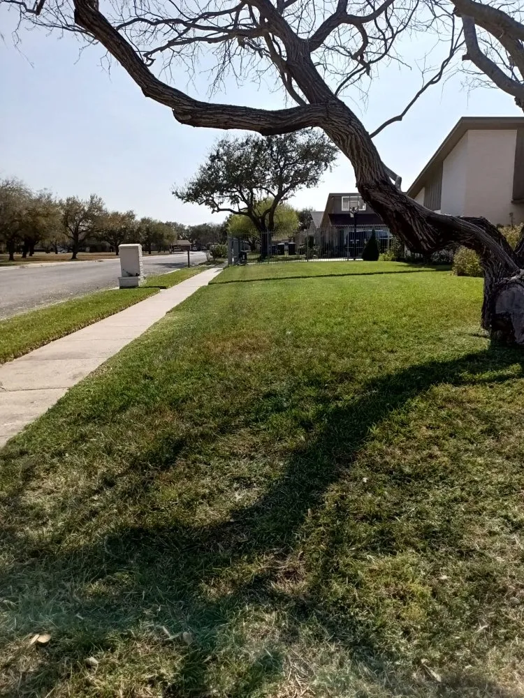 Local residential landscaping for year-round maintenance in Corp Christi, TX by Ramirez Lawn Care